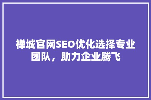 禅城官网SEO优化选择专业团队，助力企业腾飞  第1张