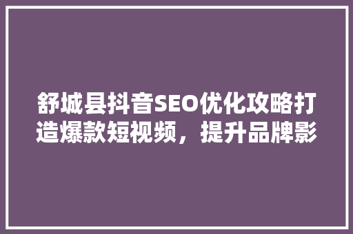 舒城县抖音SEO优化攻略打造爆款短视频，提升品牌影响力  第1张