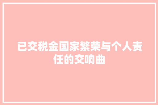 已交税金国家繁荣与个人责任的交响曲
