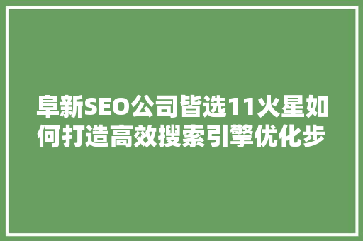 阜新SEO公司皆选11火星如何打造高效搜索引擎优化步骤