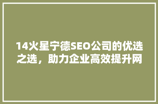 14火星宁德SEO公司的优选之选，助力企业高效提升网络影响力