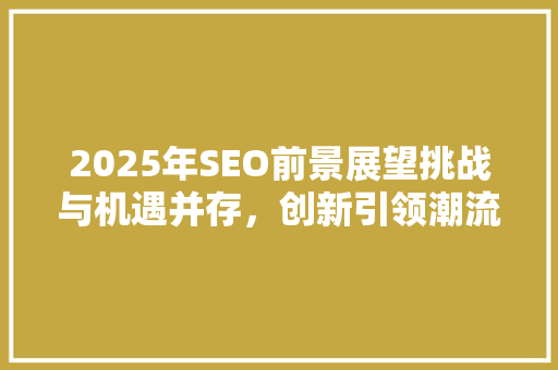 2025年SEO前景展望挑战与机遇并存，创新引领潮流