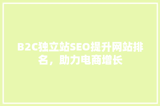 B2C独立站SEO提升网站排名，助力电商增长