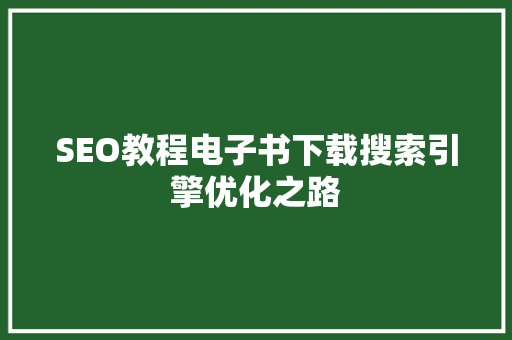 SEO教程电子书下载搜索引擎优化之路