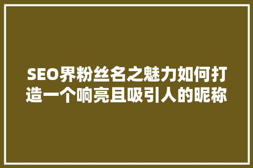 SEO界粉丝名之魅力如何打造一个响亮且吸引人的昵称
