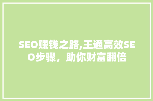 SEO赚钱之路,王通高效SEO步骤，助你财富翻倍