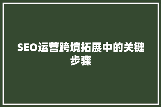 SEO运营跨境拓展中的关键步骤