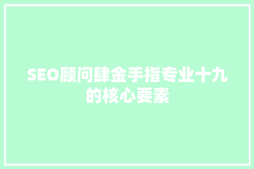 SEO顾问肆金手指专业十九的核心要素