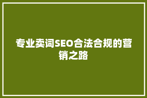 专业卖词SEO合法合规的营销之路  第1张