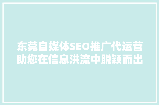 东莞自媒体SEO推广代运营助您在信息洪流中脱颖而出
