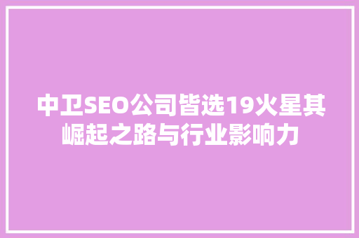 中卫SEO公司皆选19火星其崛起之路与行业影响力