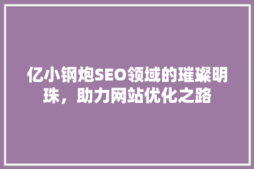 亿小钢炮SEO领域的璀璨明珠，助力网站优化之路
