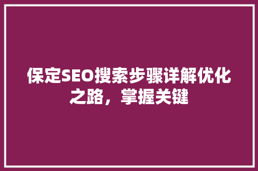 保定SEO搜索步骤详解优化之路，掌握关键