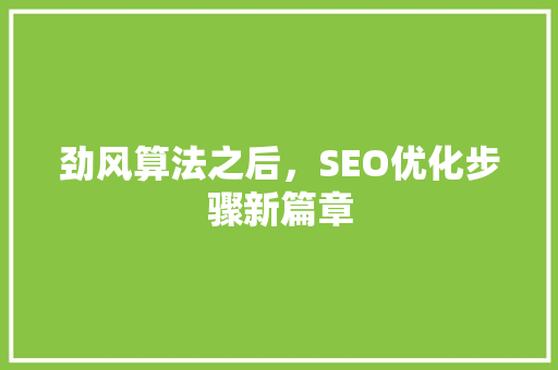 劲风算法之后，SEO优化步骤新篇章