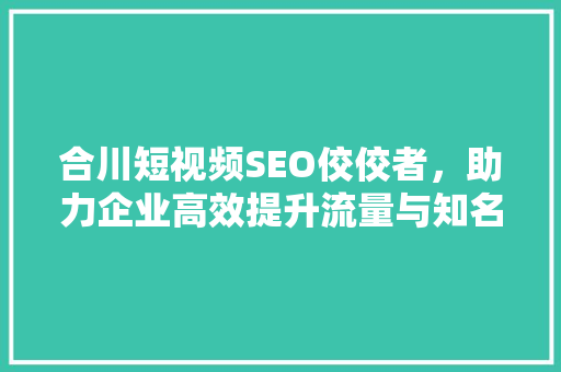 合川短视频SEO佼佼者，助力企业高效提升流量与知名度