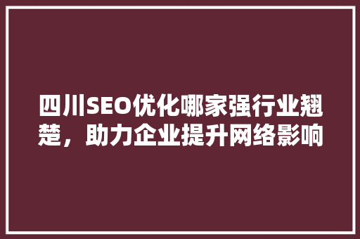 四川SEO优化哪家强行业翘楚，助力企业提升网络影响力