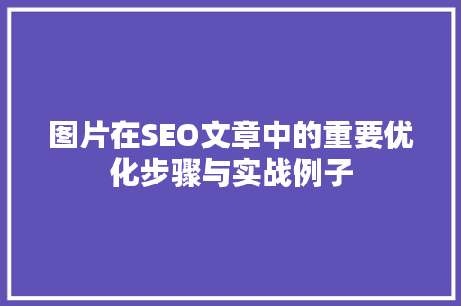 图片在SEO文章中的重要优化步骤与实战例子