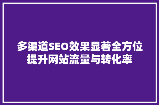 多渠道SEO效果显著全方位提升网站流量与转化率