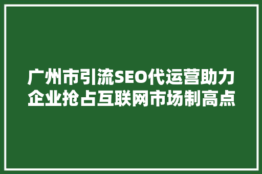 广州市引流SEO代运营助力企业抢占互联网市场制高点