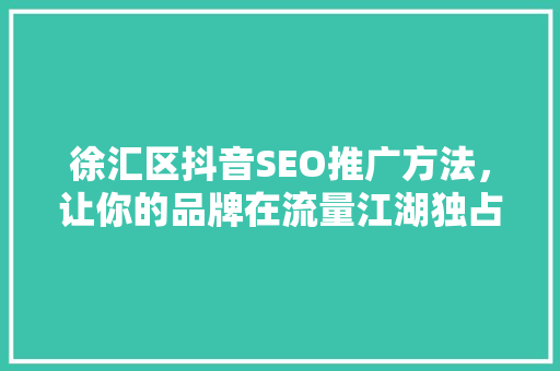 徐汇区抖音SEO推广方法，让你的品牌在流量江湖独占鳌头
