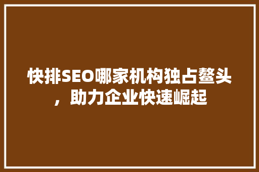 快排SEO哪家机构独占鳌头，助力企业快速崛起