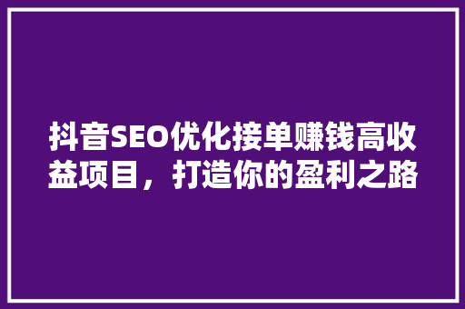 抖音SEO优化接单赚钱高收益项目，打造你的盈利之路