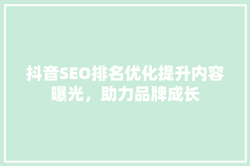 抖音SEO排名优化提升内容曝光，助力品牌成长