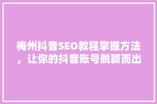 梅州抖音SEO教程掌握方法，让你的抖音账号脱颖而出  第1张