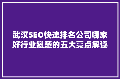 武汉SEO快速排名公司哪家好行业翘楚的五大亮点解读