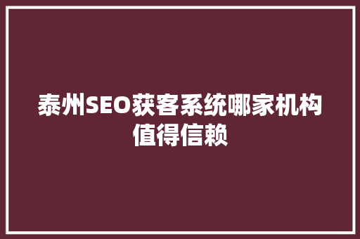 泰州SEO获客系统哪家机构值得信赖