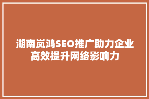 湖南岚鸿SEO推广助力企业高效提升网络影响力