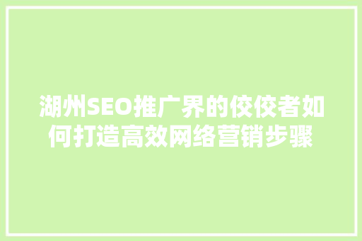 湖州SEO推广界的佼佼者如何打造高效网络营销步骤
