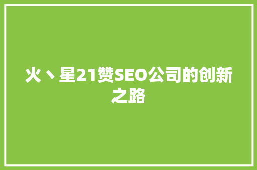 火丶星21赞SEO公司的创新之路