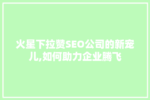 火星下拉赞SEO公司的新宠儿,如何助力企业腾飞