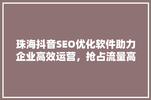 珠海抖音SEO优化软件助力企业高效运营，抢占流量高地
