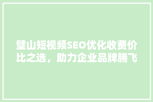 璧山短视频SEO优化收费价比之选，助力企业品牌腾飞