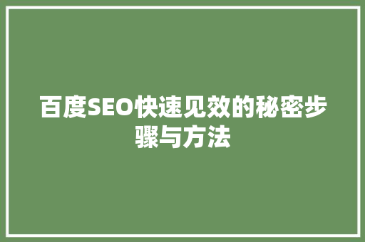 百度SEO快速见效的秘密步骤与方法