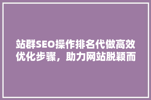站群SEO操作排名代做高效优化步骤，助力网站脱颖而出