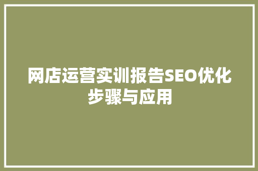 网店运营实训报告SEO优化步骤与应用