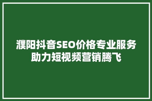 濮阳抖音SEO价格专业服务助力短视频营销腾飞