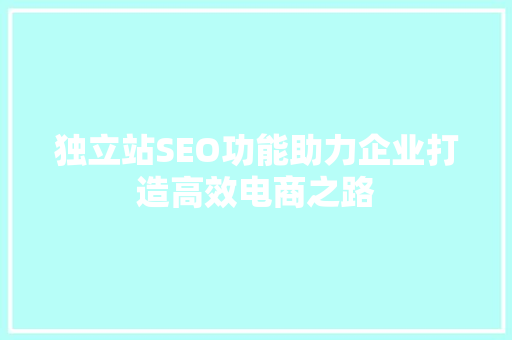 独立站SEO功能助力企业打造高效电商之路