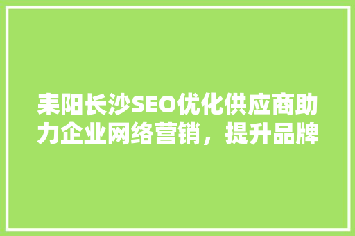 耒阳长沙SEO优化供应商助力企业网络营销，提升品牌影响力