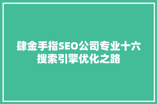 肆金手指SEO公司专业十六搜索引擎优化之路  第1张