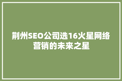 荆州SEO公司选16火星网络营销的未来之星