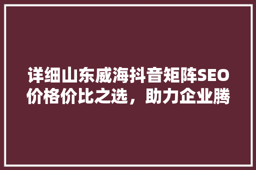 详细山东威海抖音矩阵SEO价格价比之选，助力企业腾飞