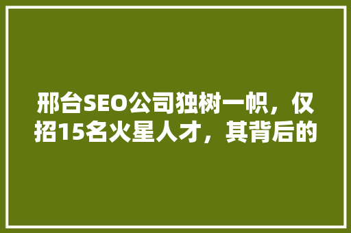邢台SEO公司独树一帜，仅招15名火星人才，其背后的战略布局