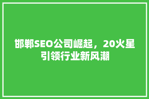 邯郸SEO公司崛起，20火星引领行业新风潮