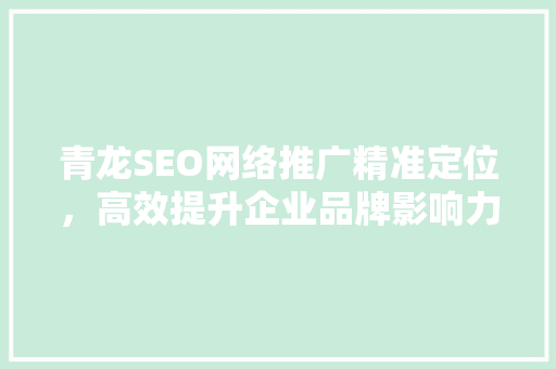 青龙SEO网络推广精准定位，高效提升企业品牌影响力