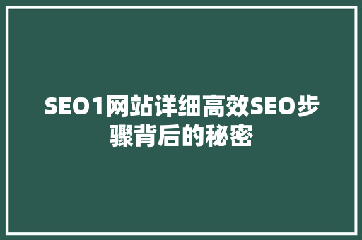 SEO1网站详细高效SEO步骤背后的秘密