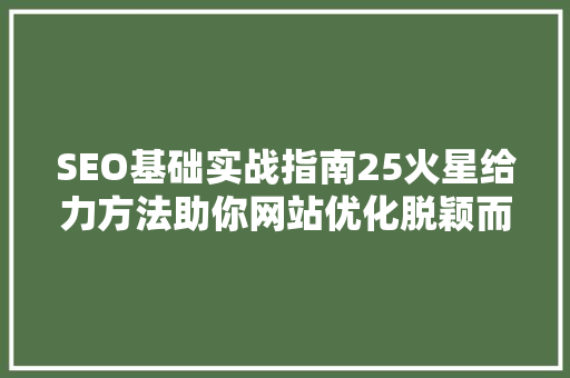 SEO基础实战指南25火星给力方法助你网站优化脱颖而出